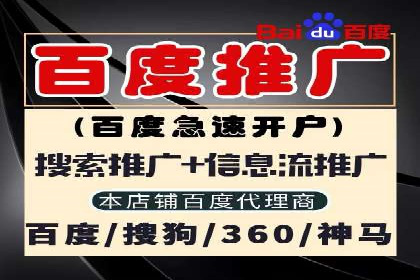 百度SEO推广案例：实战解析与优化建议